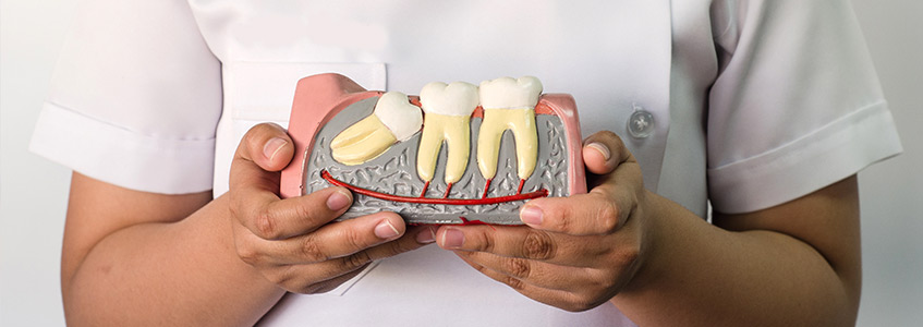 Endodontics